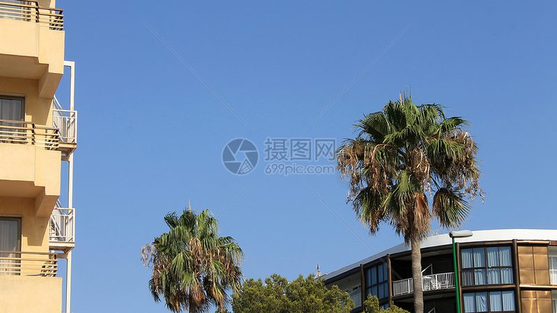 邮轮旅游费用解析：揭秘人均花费构成